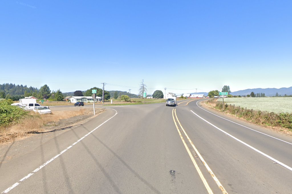 Bird Rescue and Sitting