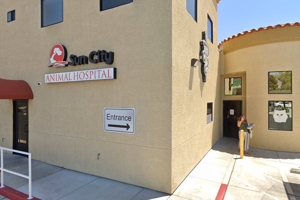 Sun City Animal Hospital