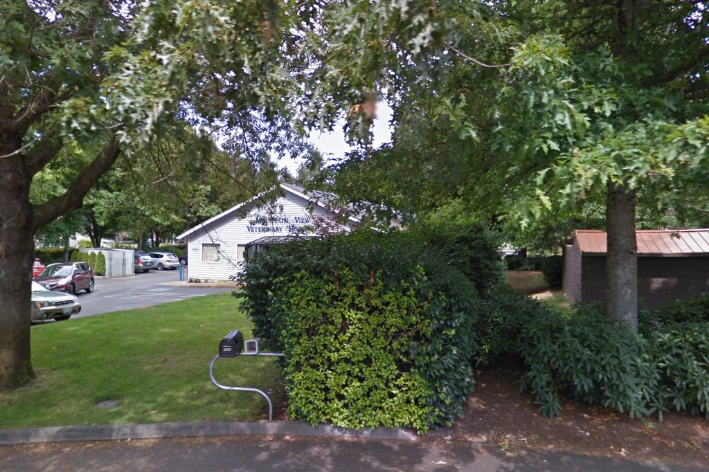 Mountain View Veterinary Hospital