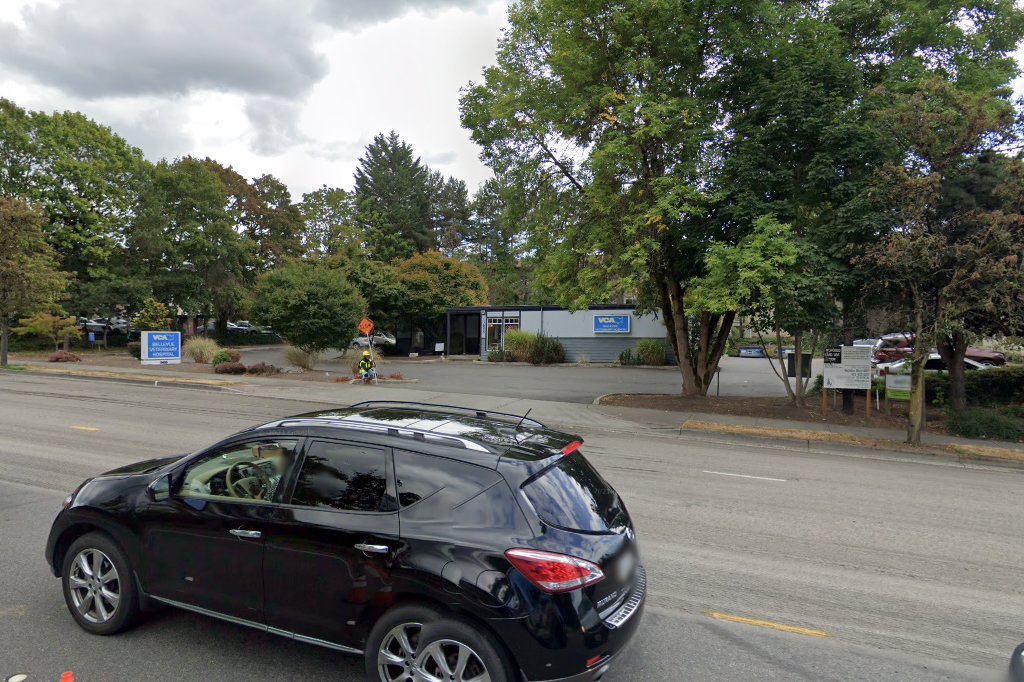 VCA Bellevue Veterinary Hospital