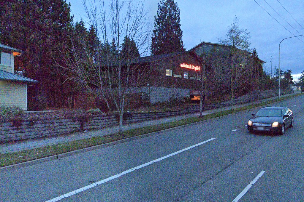 A Small Animal Hospital