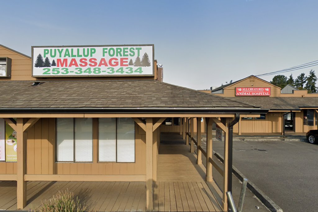 All Creatures Animal Hospital