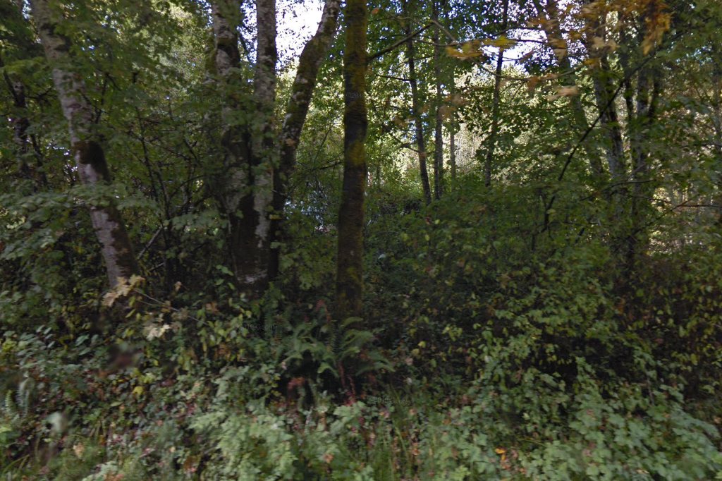 Shelton Mason County Parrot Rescue Smcpr