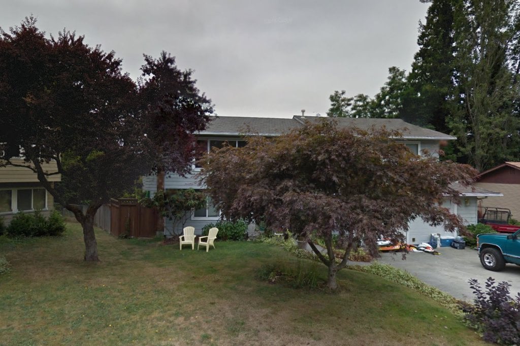 It's Meow Or Never Animal Rescue