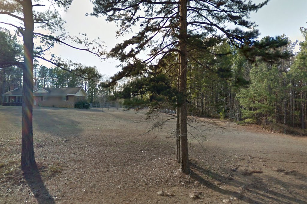 Chihuahua-Toy Breed Rescue & Retirement