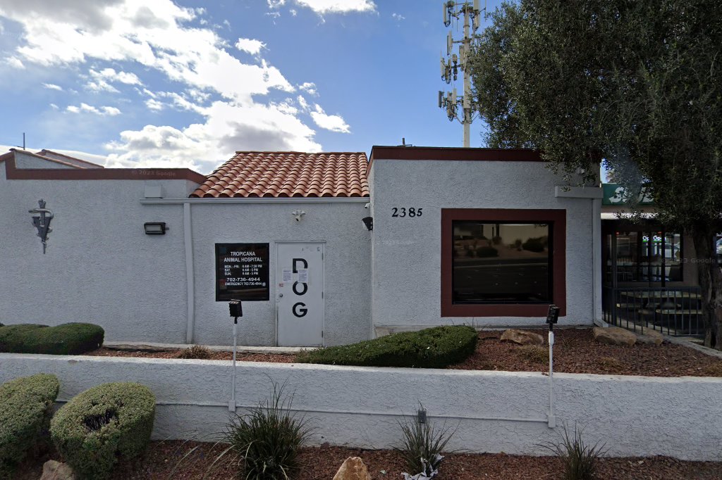 Tropicana Animal Hospital