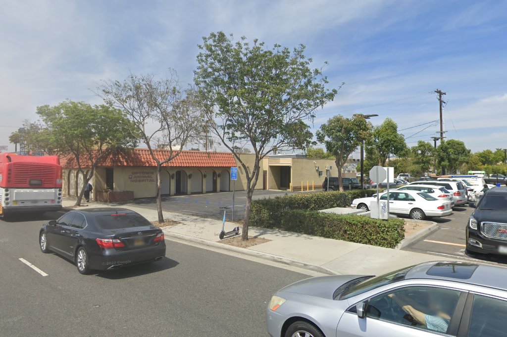 Uptown Animal Hospital