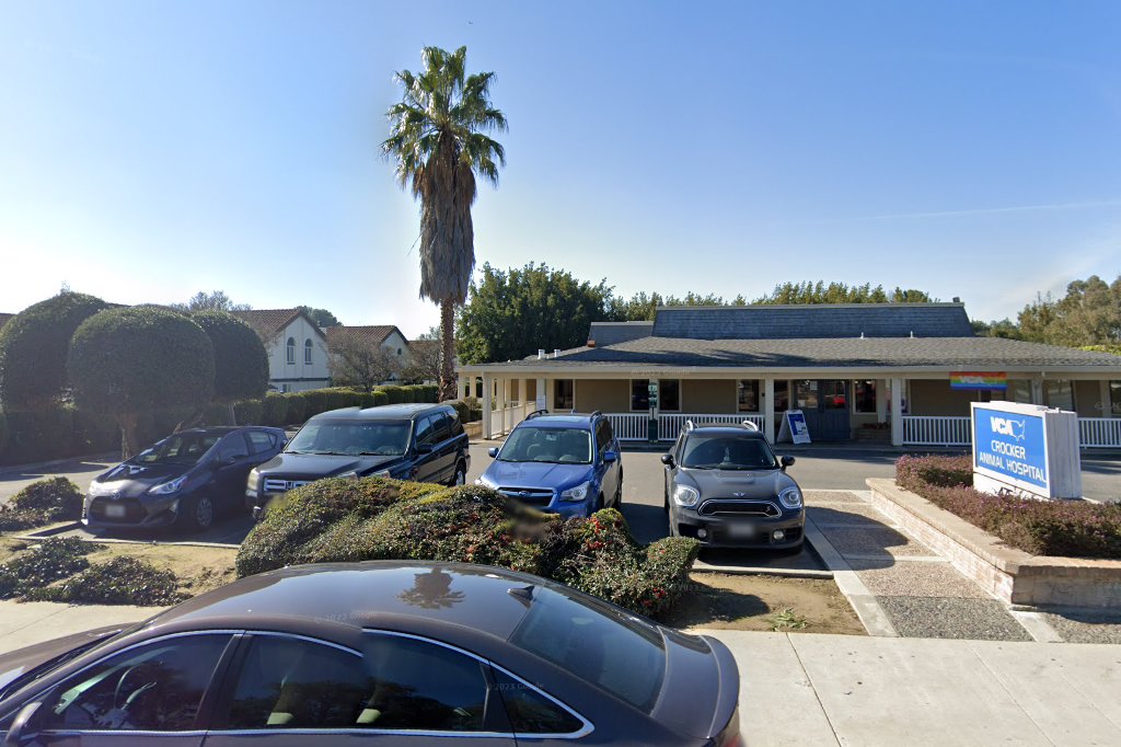 VCA Crocker Animal Hospital