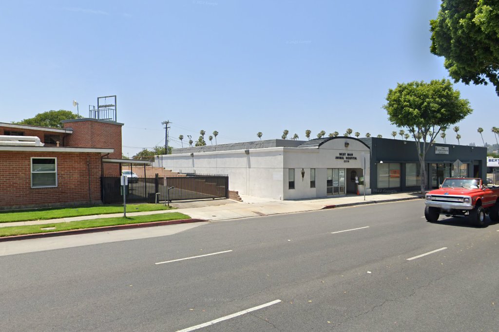 West Main Animal Hospital