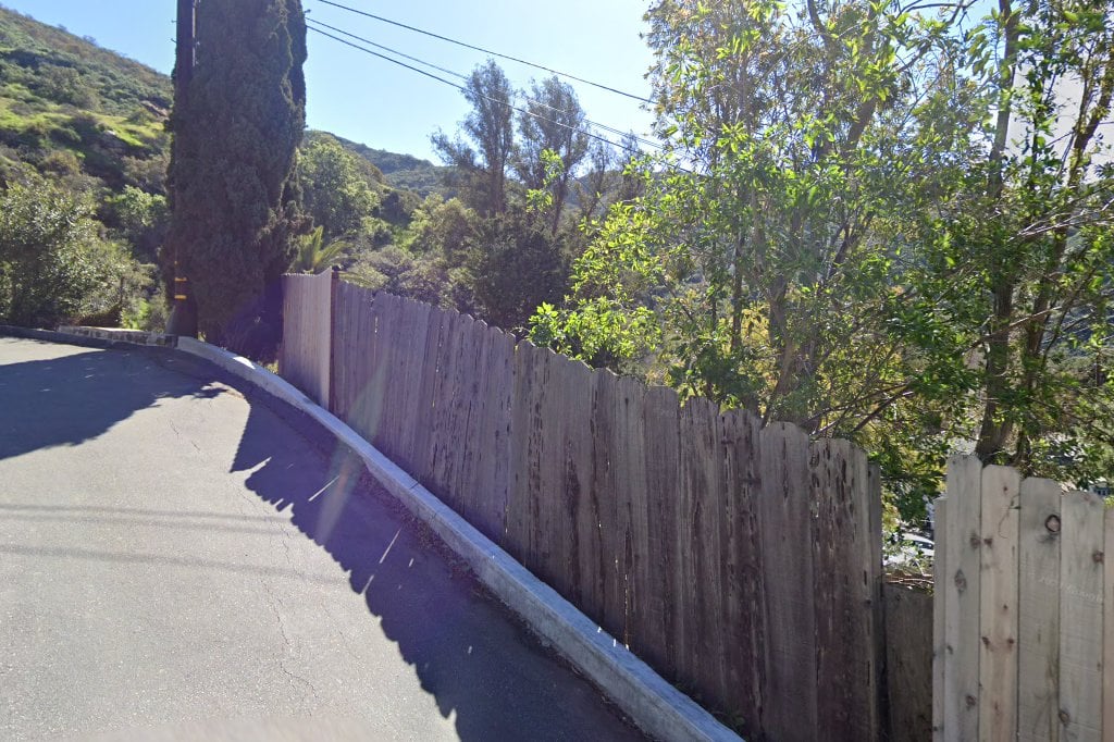 Blue Bell Foundation For Cats