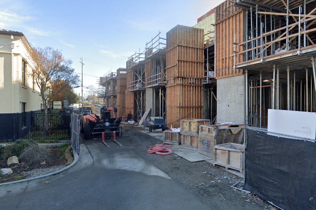 Project Purr's Rescued Treasures