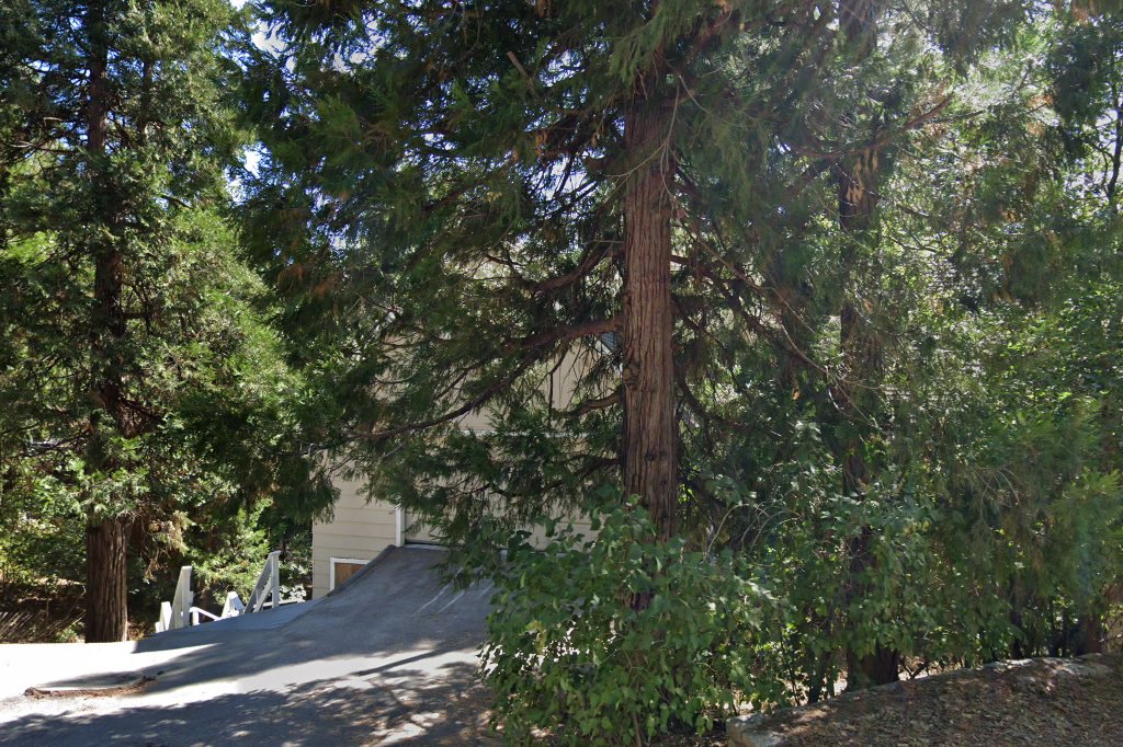 Mountain's Humane Society