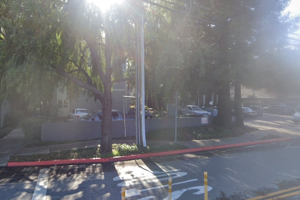 Companion Animal Rescue Effort