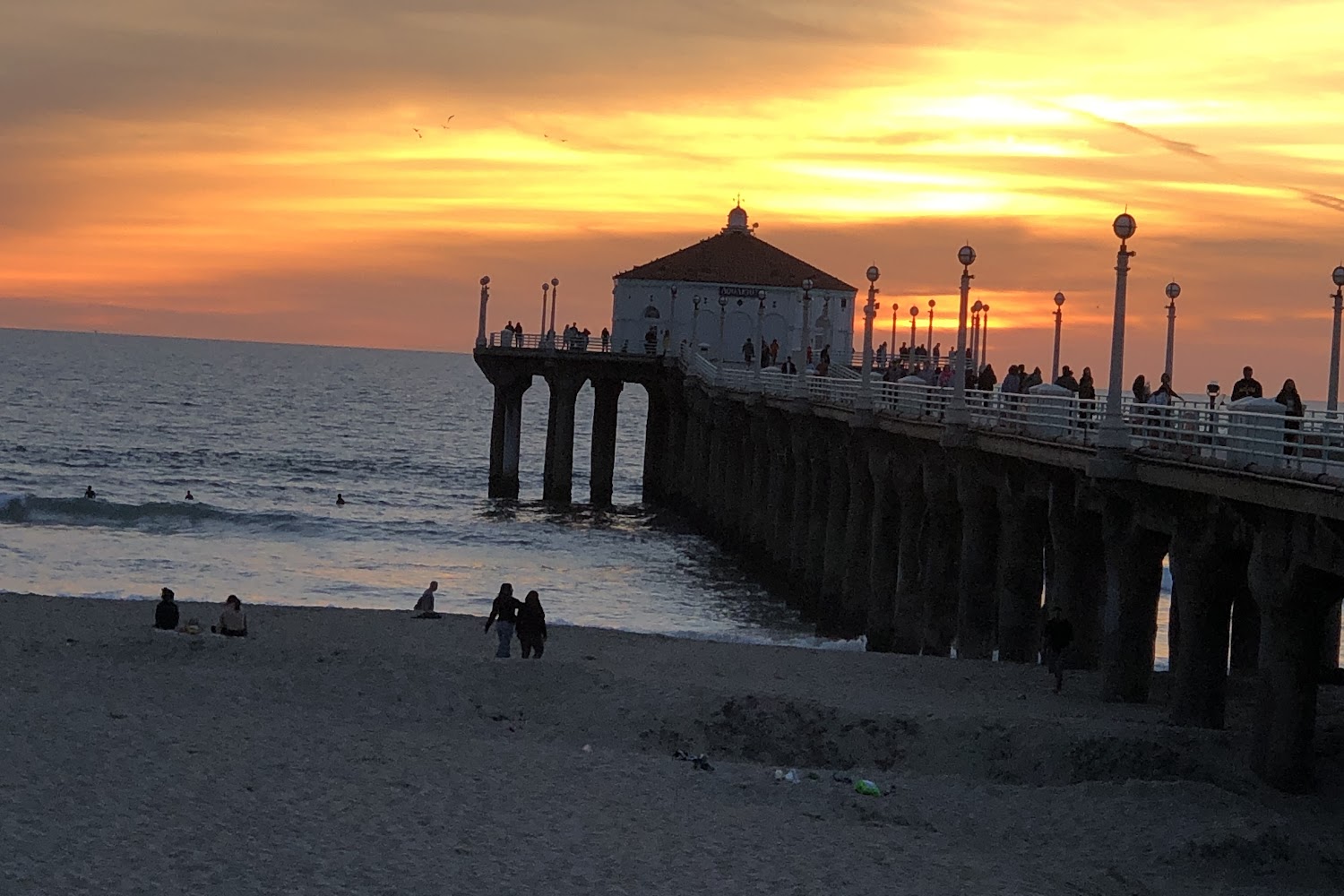 Noah's Bark Pet Rescue Organization