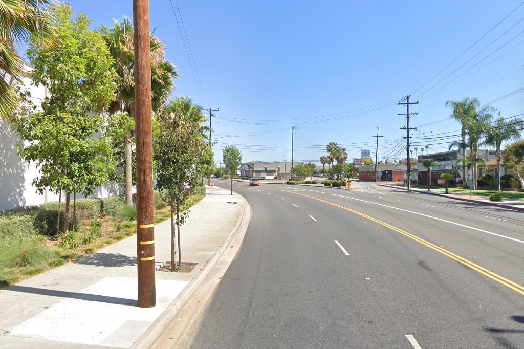 Save the Dalmatians & Others Canine Rescue, Inc.