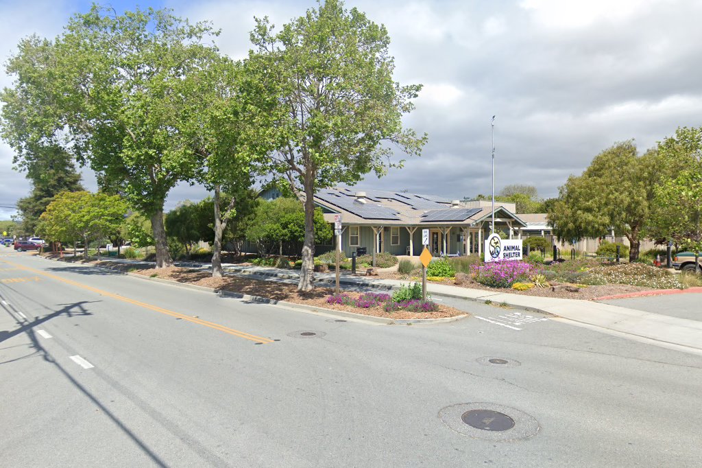 Santa Cruz Animal Shelter