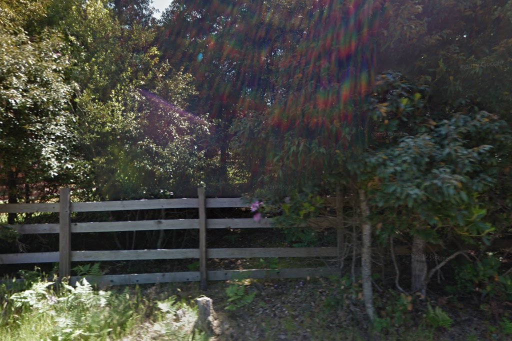 Fort Bragg Animal Control