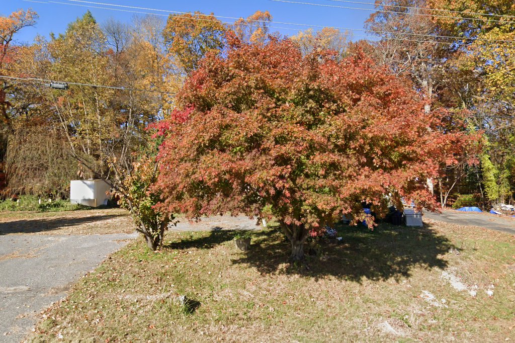 Accokeek Animal Hospital