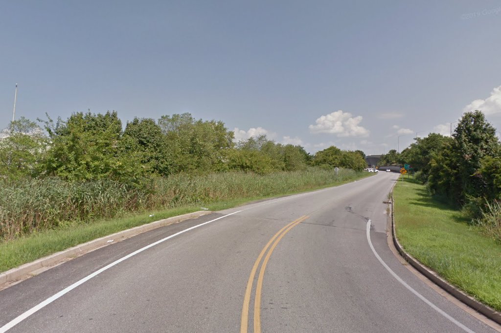 Chester Animal Control