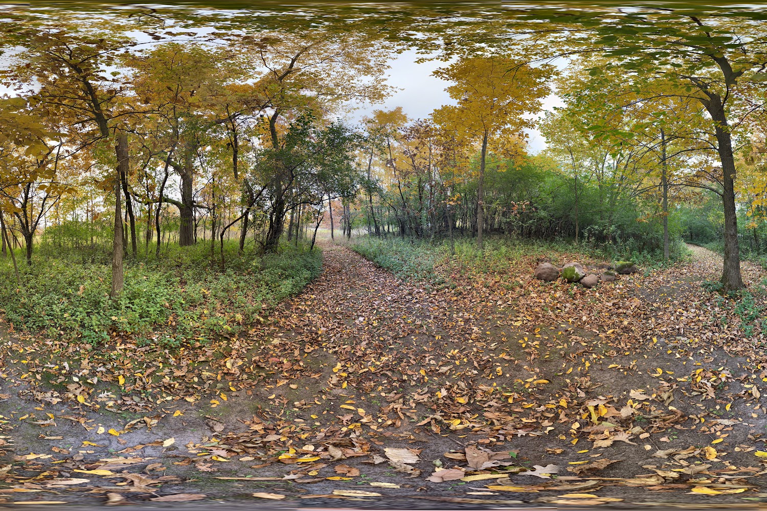 Hickory Lane Animal Hospital