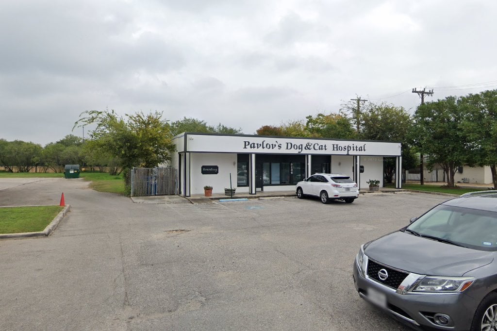 Pavlov's Dog and Cat Hospital