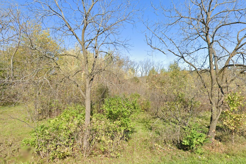 Fisher Valley Felines