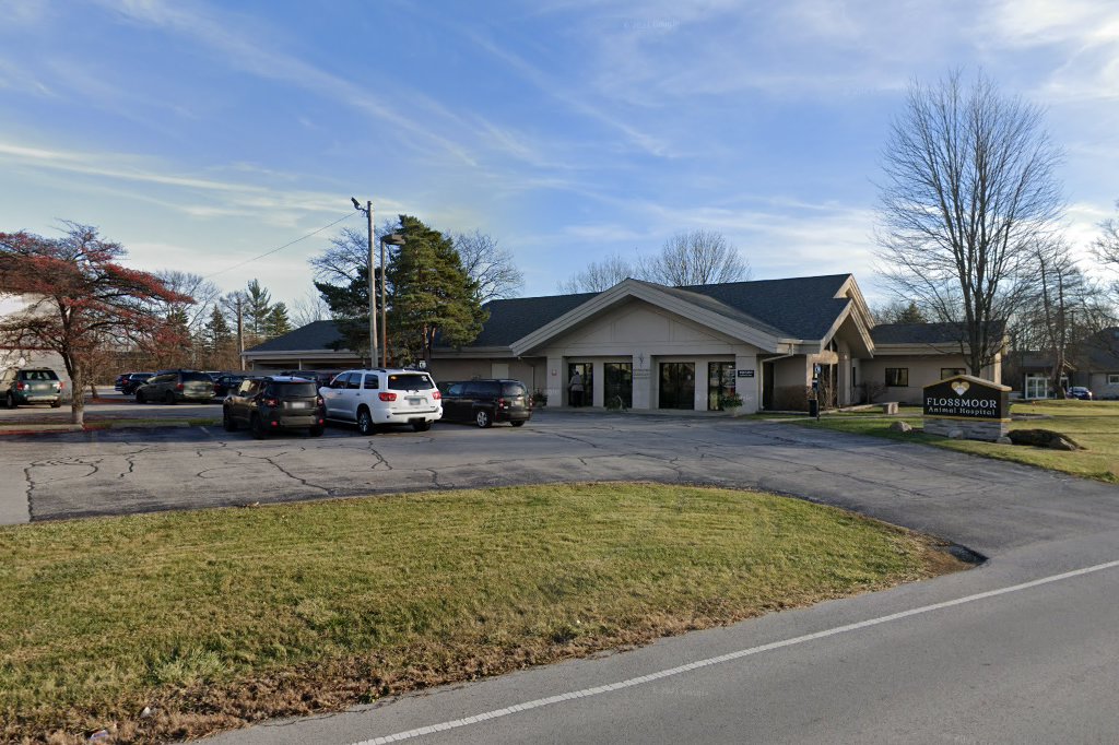 Flossmoor Animal Hospital