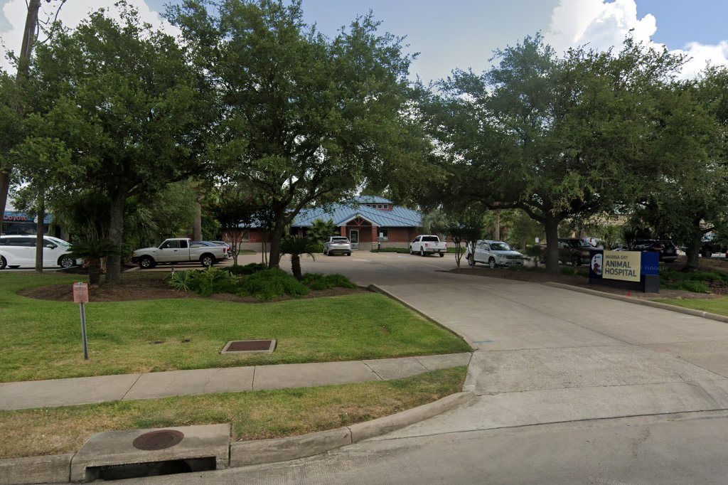 Marina Bay Animal Hospital