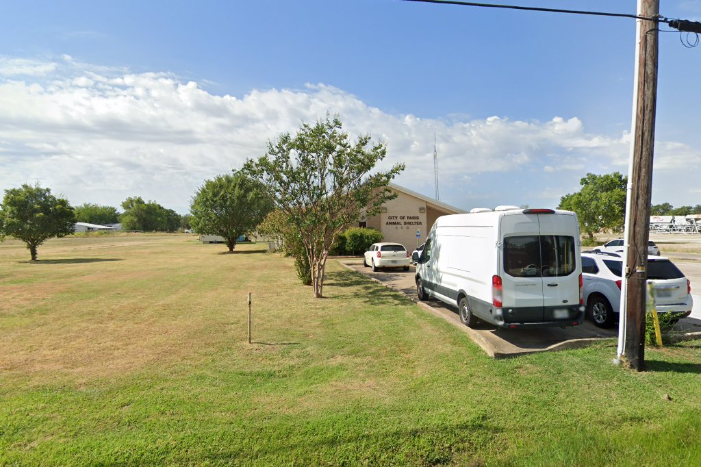 Paris Animal Shelter