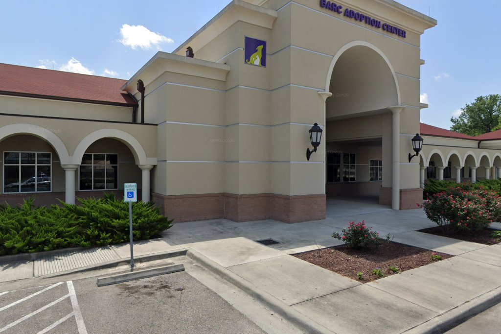 BARC Animal Shelter & Adoptions