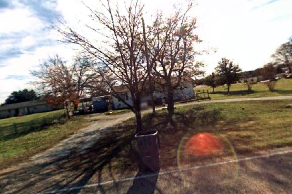 Yellow Rose Pet Rescue