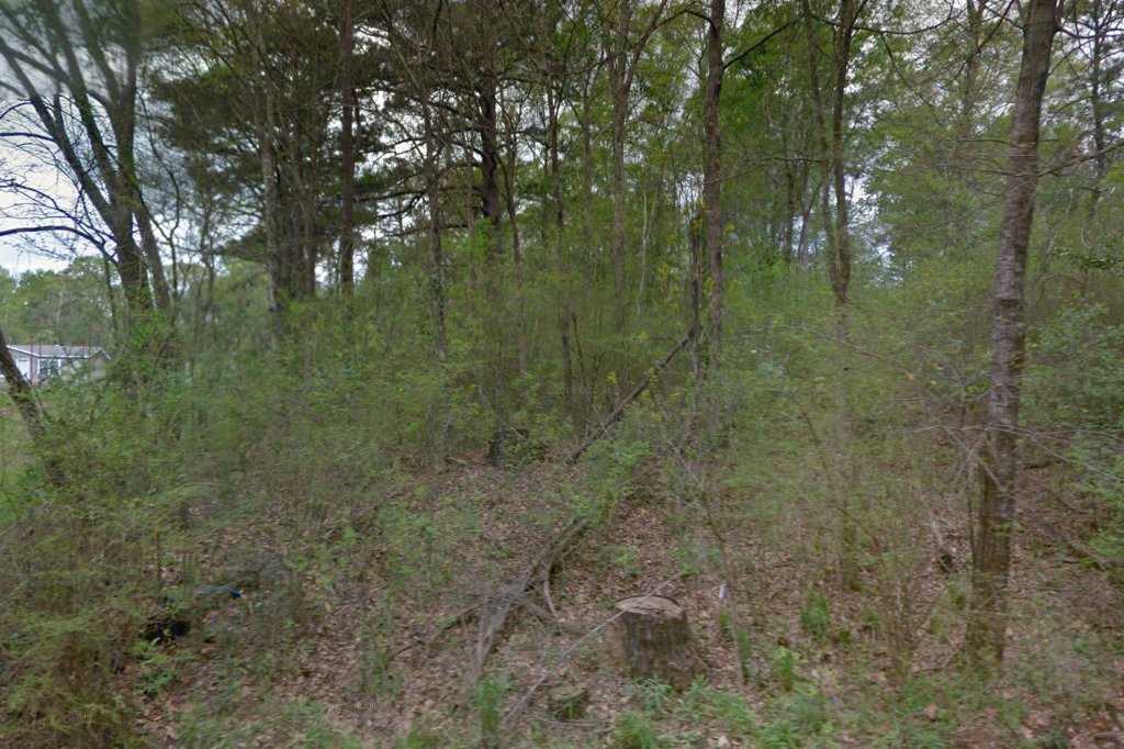 Green Chicken Valley