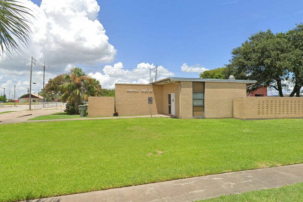 Port Arthur Animal Control