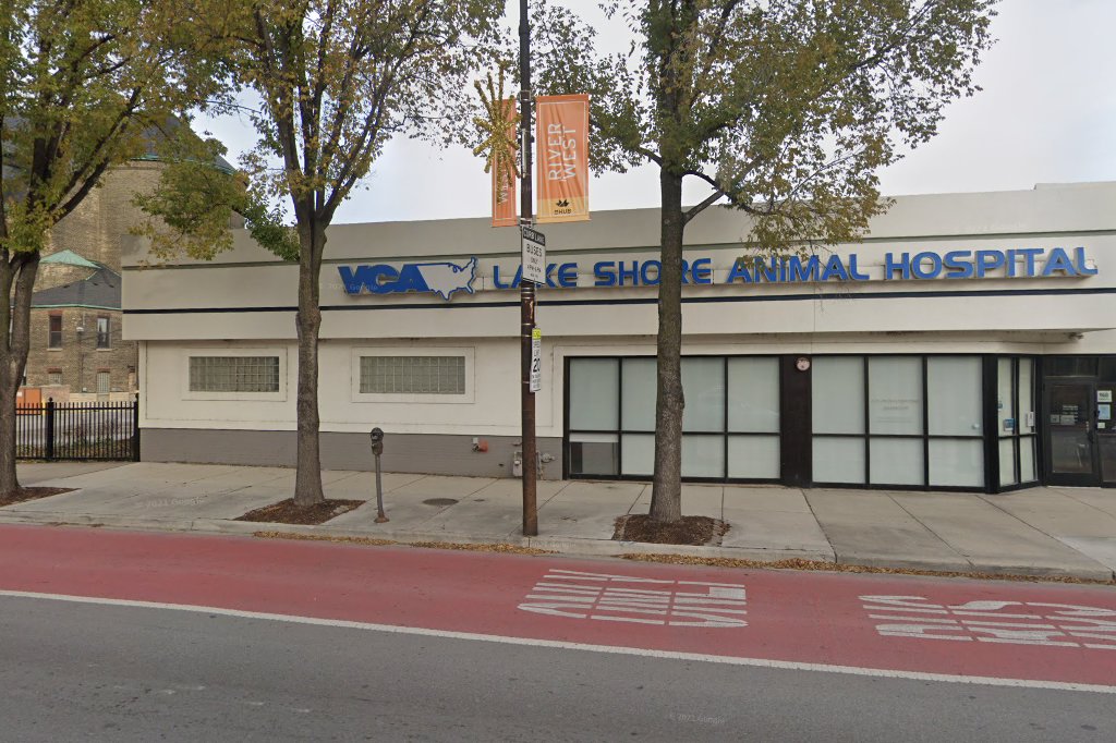 Lake Shore Animals Foundation