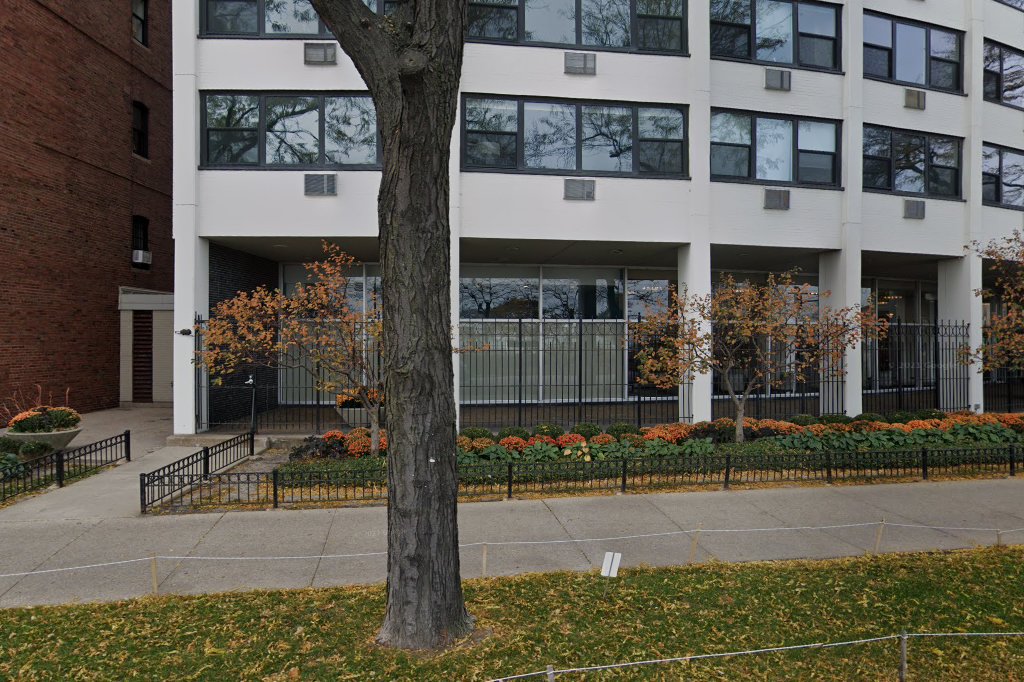 Puppy Love Love Cats Pet Rescue