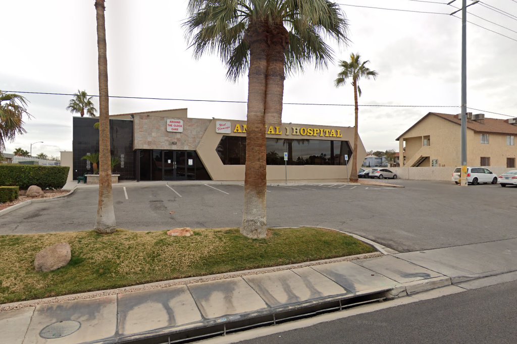 West Flamingo Animal Hospital