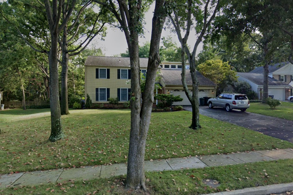 Dc Metro No More Homeless Pets