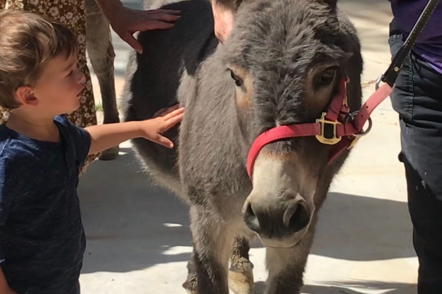 Gilcrease Bird Preserve