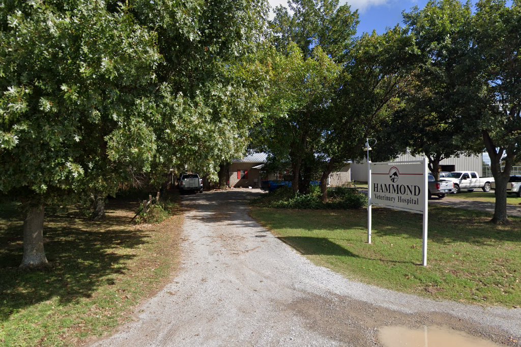 Hammond Veterinary Hospital