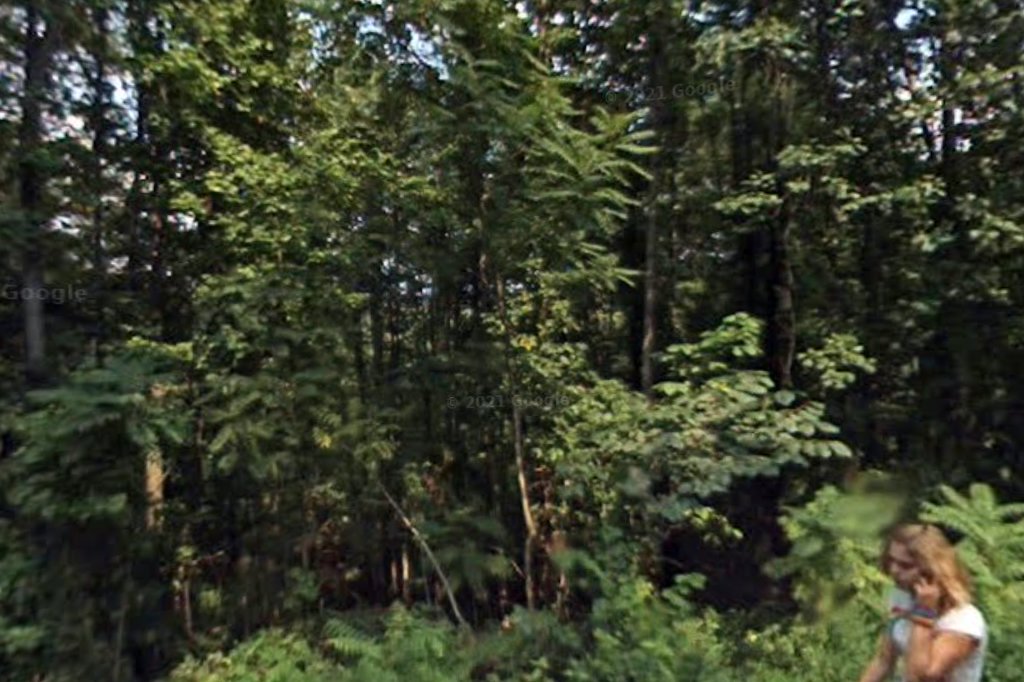 Sycamore Shoals Animal Hospital