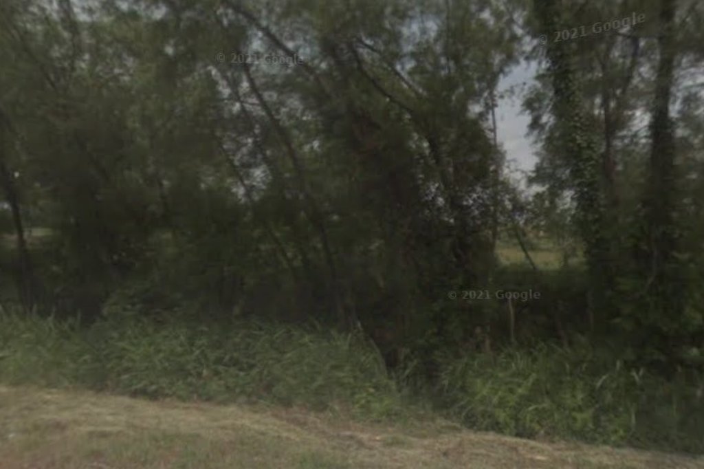 Bristow Animal Shelter