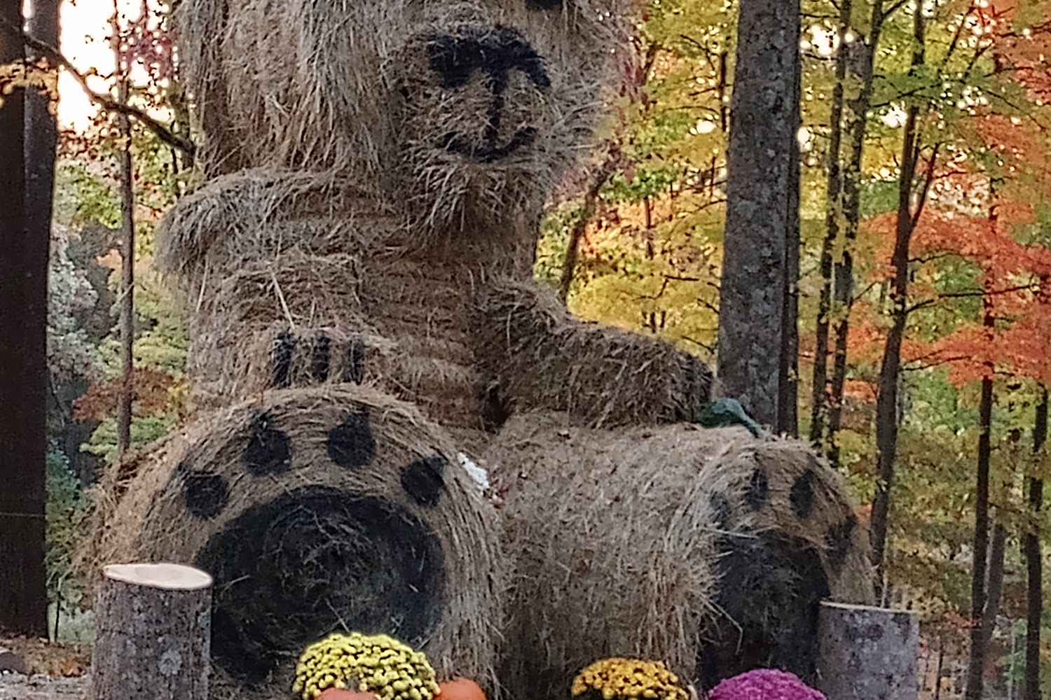 Humane Society of Cumberland