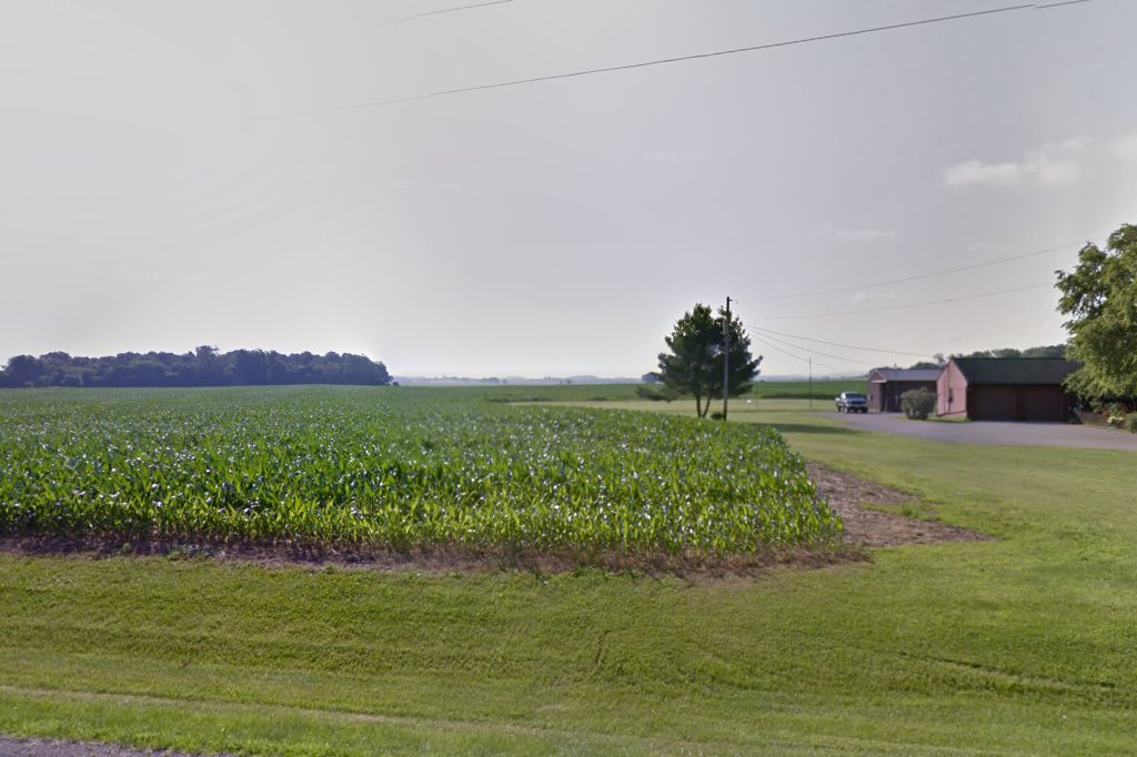 Kingston Veterinary Clinic