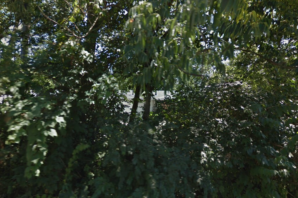 Madeira Veterinary Hospital