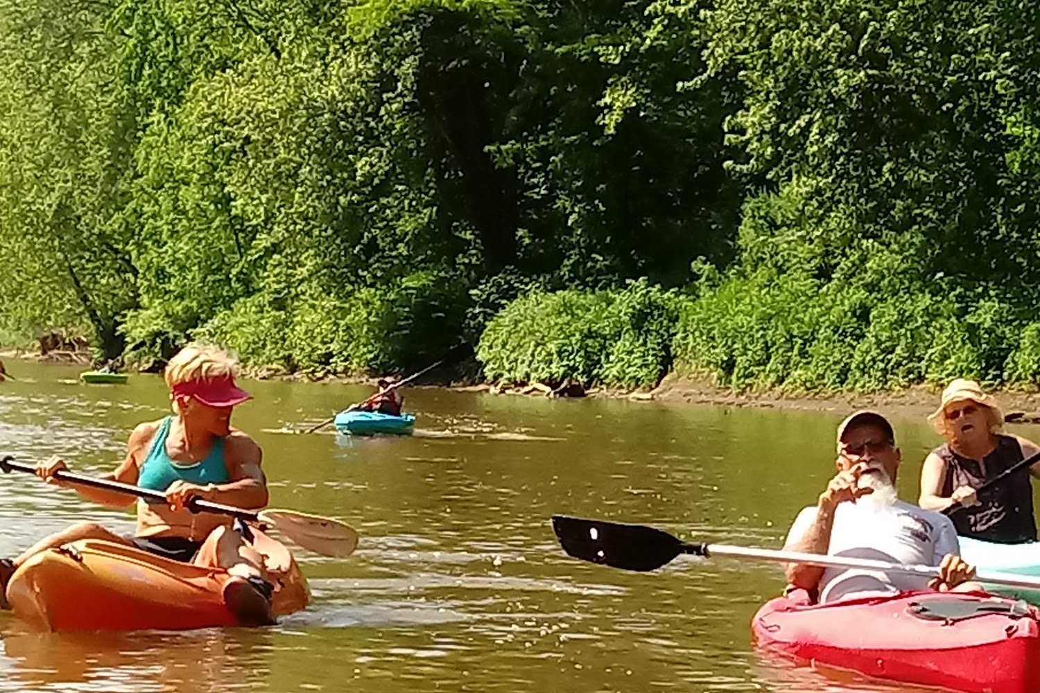 Companion Animal Rescue Effort