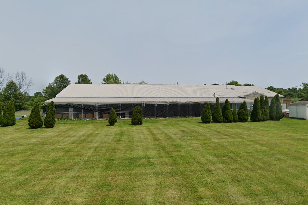 Animal Protective League