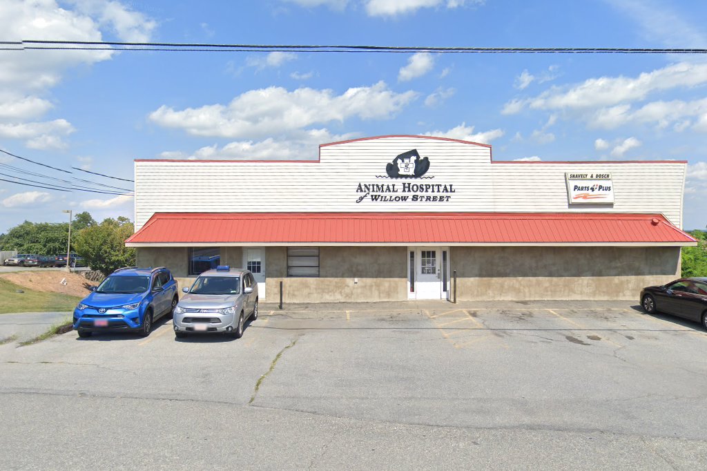 Animal Hospital of Willow Street