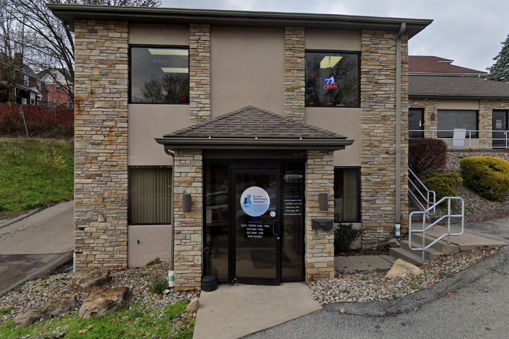 Munhall Veterinary Hospital