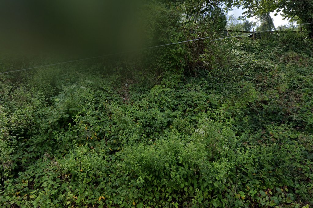 Werntz Memorial Animal Hospital