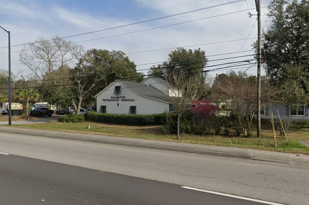 Palmetto Veterinary Hospital